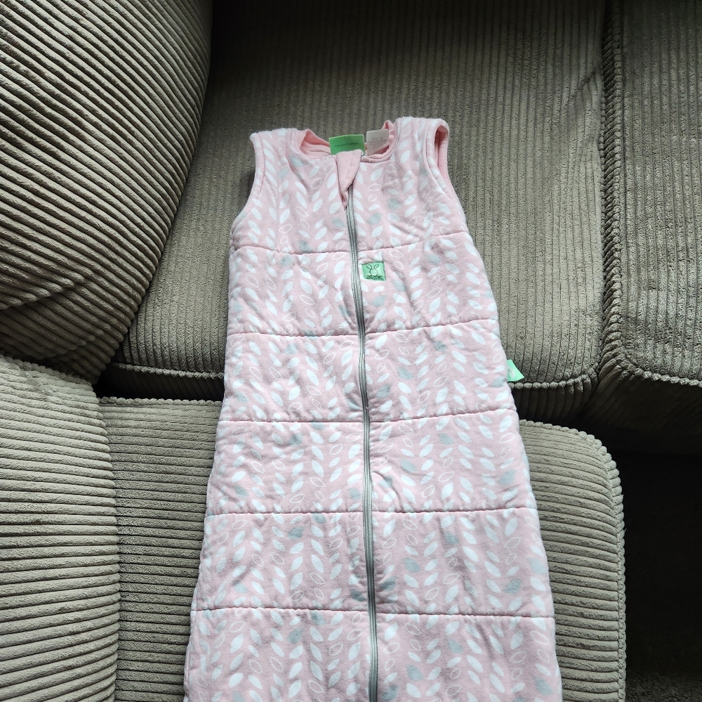 Ergo Pouch 2.5 8-24 Months